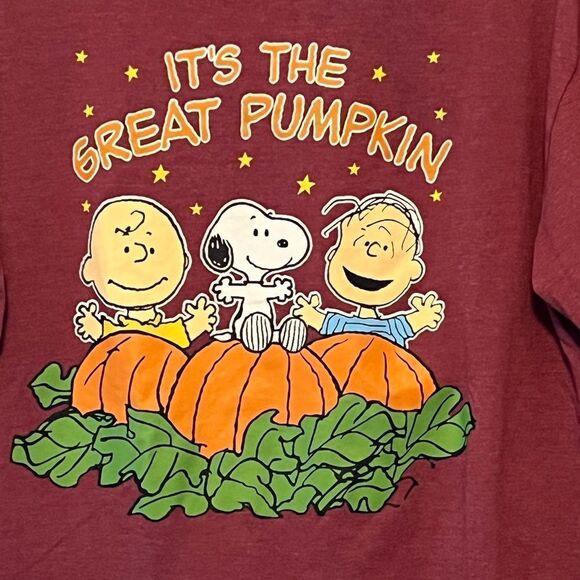 Peanuts “It’s the Great Pumpkin” Unisex Tee, size L/XL - Picture 2 of 3